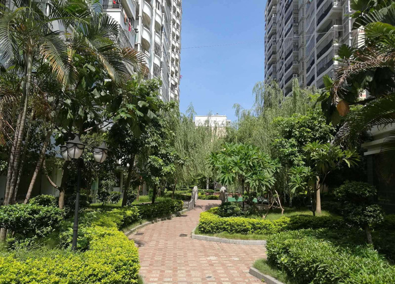 淮安房地产代理金碧