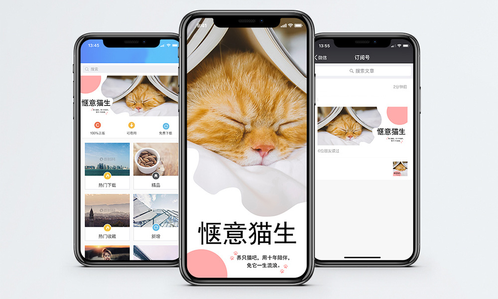 H5网页惬意猫生封面图 h5页面惬意猫生